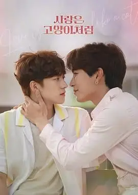 《爱情像猫一样》：当霸总爱上猫系少女，这恋爱酸臭味太上头！