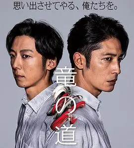 《龙道 双面复仇者》：硬汉复仇燃爆荧屏，揭秘双重身份下的正义与救赎！