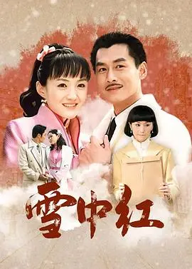 雪中红：武侠传奇与情感纠葛的史诗之旅，抽丝剥茧的英雄故事