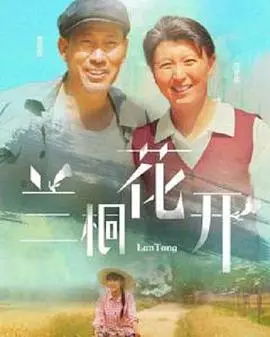 《兰桐花开》：乡村振兴的田园牧歌，看新时代青年如何扎根沃土，绽放梦想之花