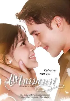 《新爱神之影》：当古老神话遭遇现代情爱，一场禁忌的恋爱冒险如何改写命运？