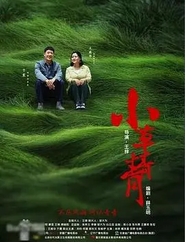 《小草青青》：平凡中的不凡力量，致敬每一个坚韧如草的生命